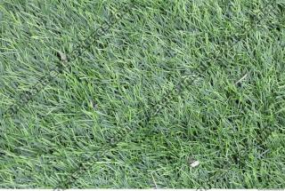 Photo Texture of Plastic Grass 0002